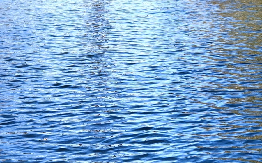 IMG_3809.jpg?type=w966