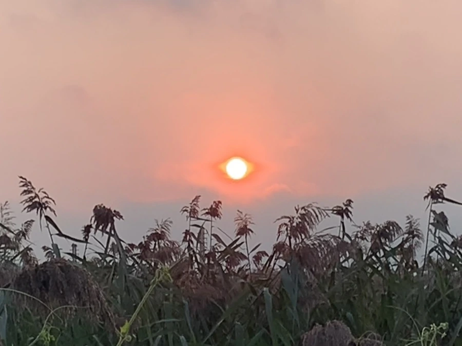 IMG_1136.jpg?type=w966