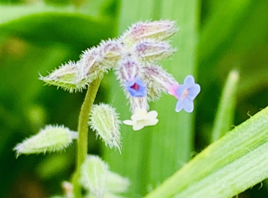 IMG_0992.jpg?type=w966