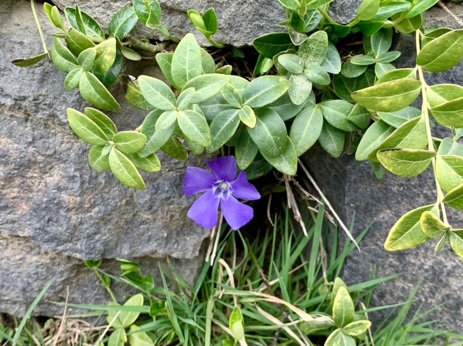 IMG_3439.jpg?type=w966