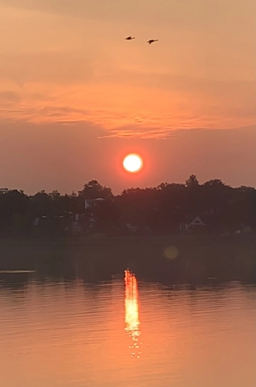 IMG_1363.jpg?type=w966