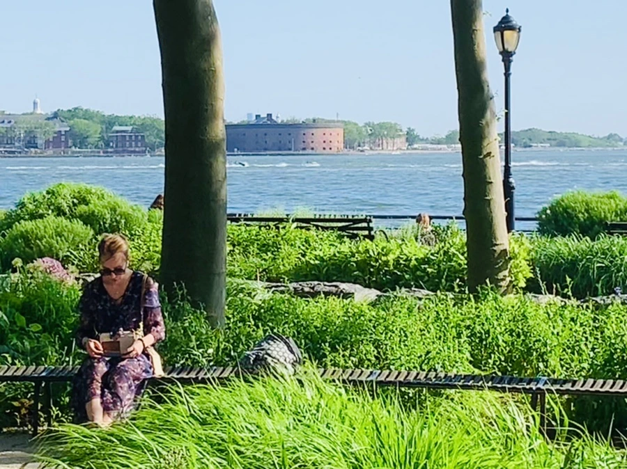 IMG_1148.jpg?type=w966