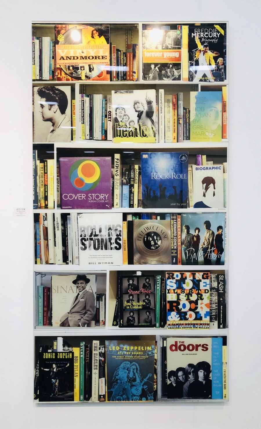 IMG_5868.jpg?type=w966