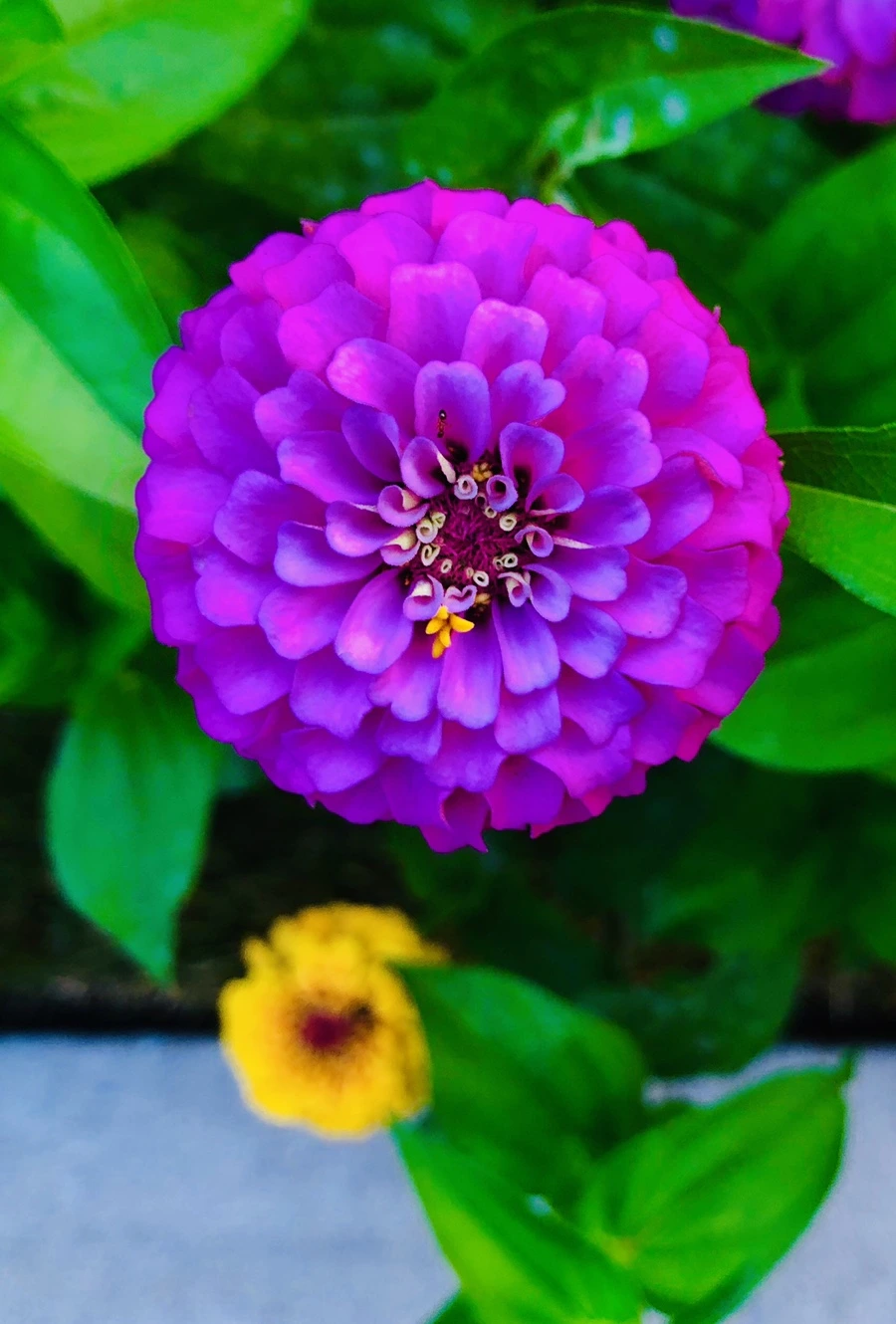 IMG_3625.jpg?type=w966