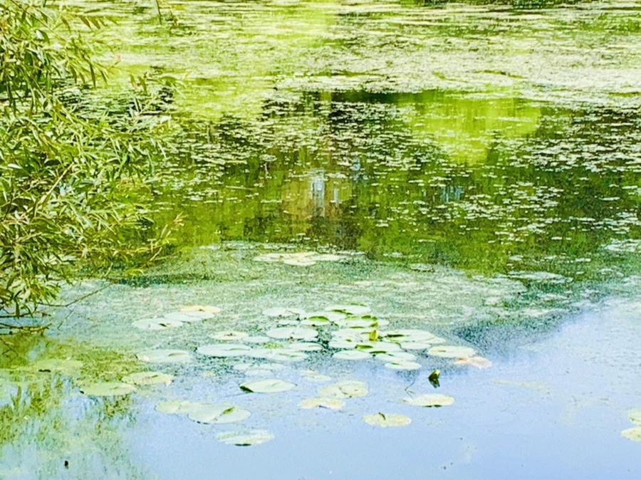 kOlHhOFgUSXPBkrJhs-iuqYIcpk