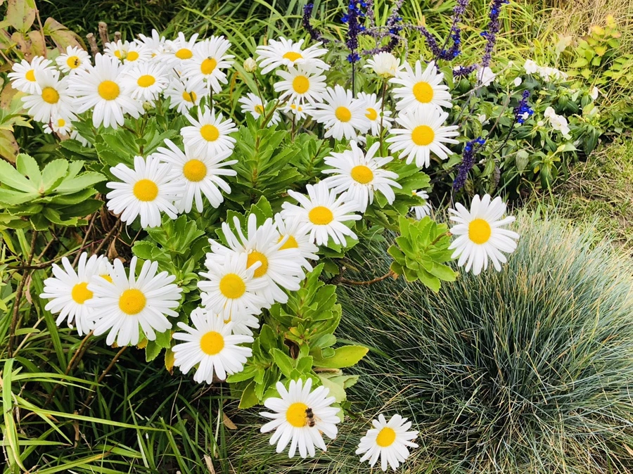 IMG_1789.jpg?type=w966