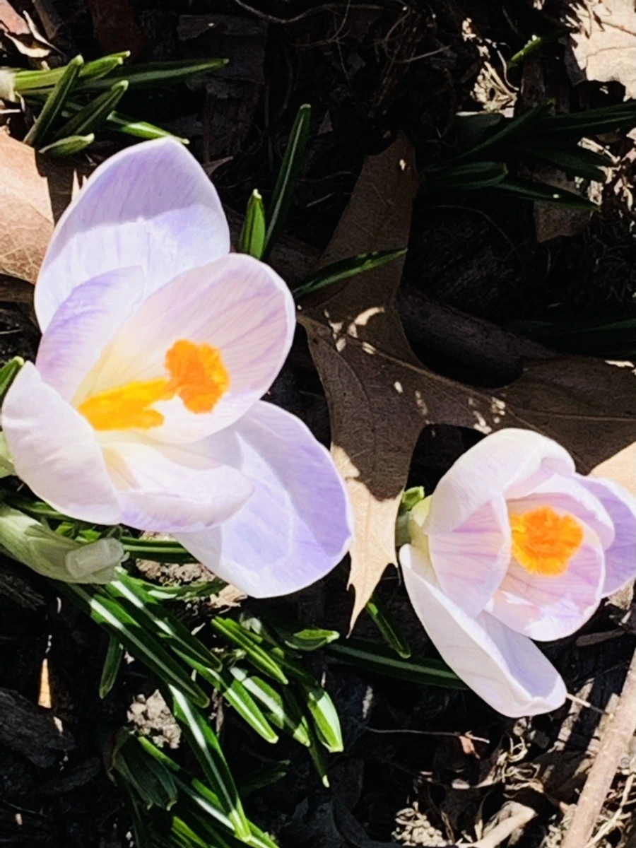 VS08qR5-OjQSIGsiyOoR-uF5Slo