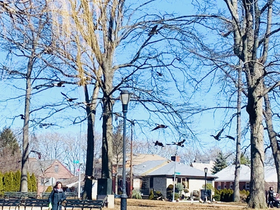 IMG_6635.jpg?type=w966