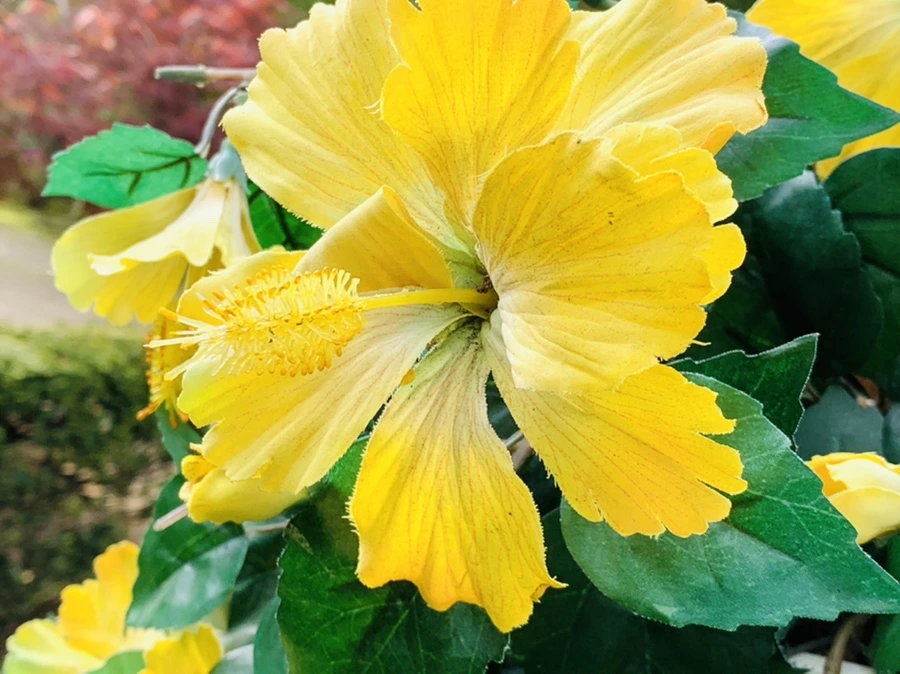 IMG_6765.jpg?type=w966