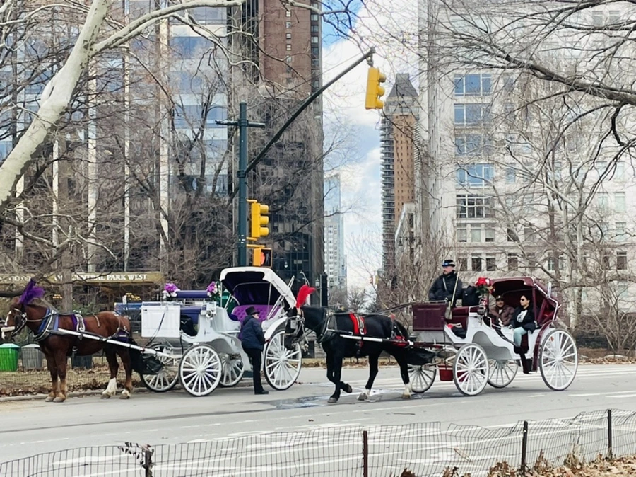 IMG_1788.jpg?type=w966