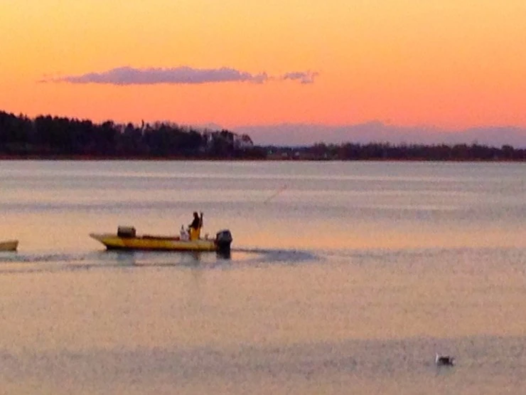 GUQyAemRCZ5GJ_bsCipNDGwaskc