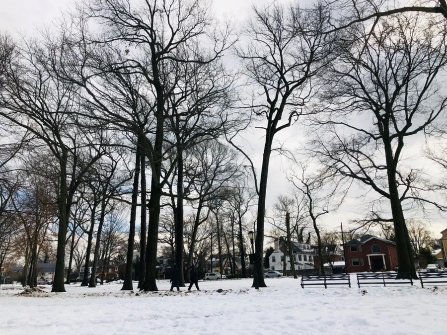 IMG_2894.jpg?type=w966