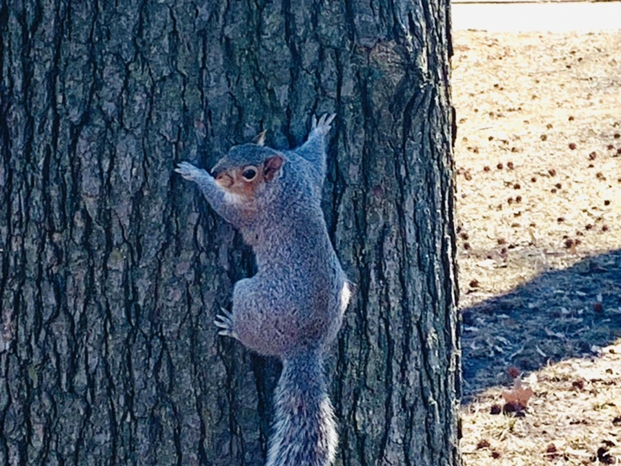 IMG_6947.jpg?type=w966