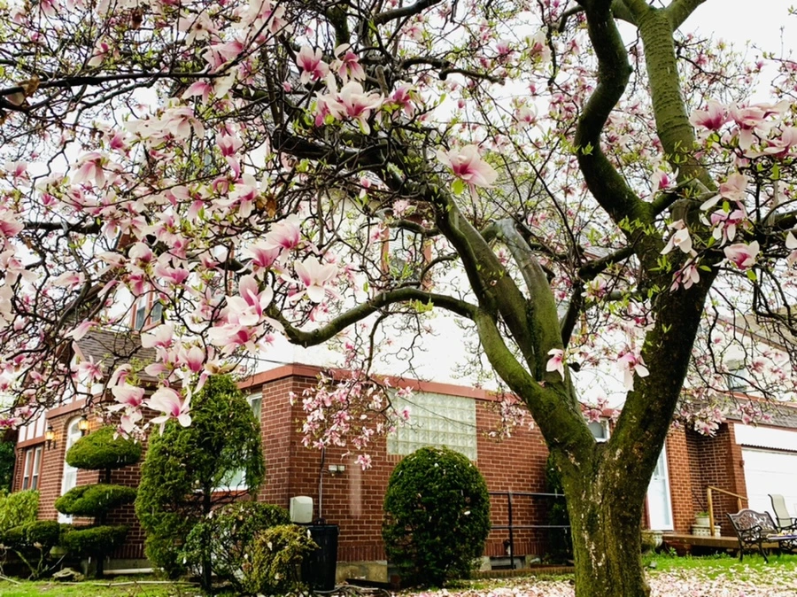 IMG_2226.jpg?type=w966