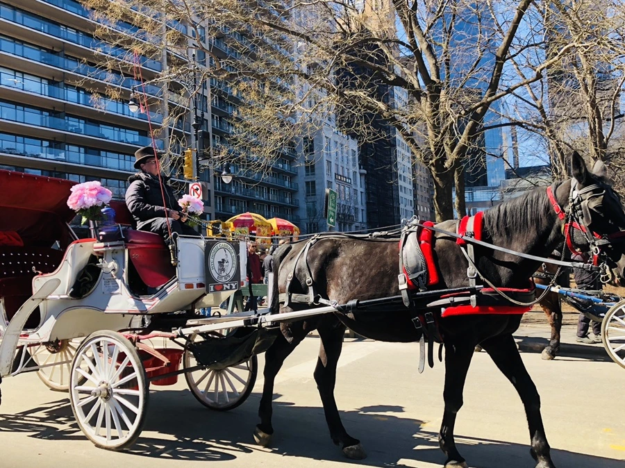 IMG_1195.jpg?type=w966