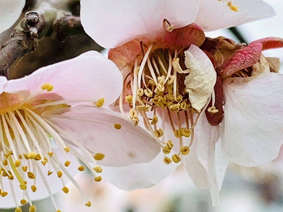 IMG_3600.jpg?type=w966