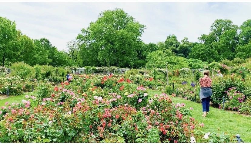 Xoy8q4Sd08eJ2gY_yRuKBe2d_V8