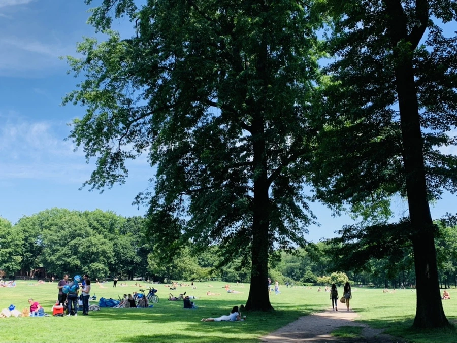 IMG_4923.jpg?type=w966