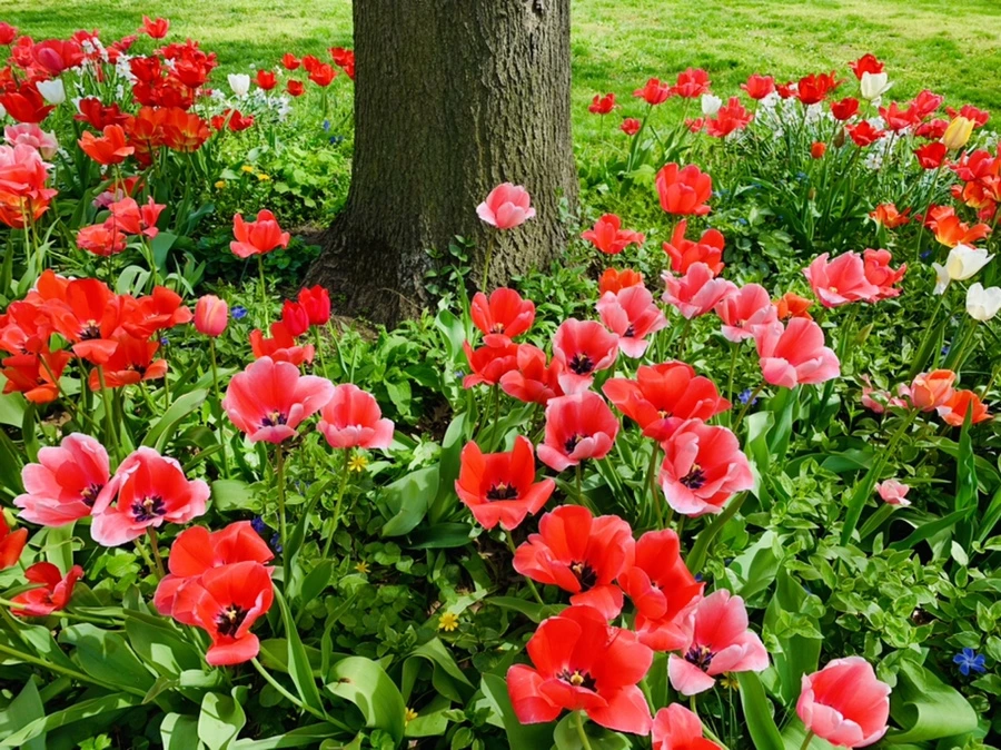 IMG_6912.jpg?type=w966