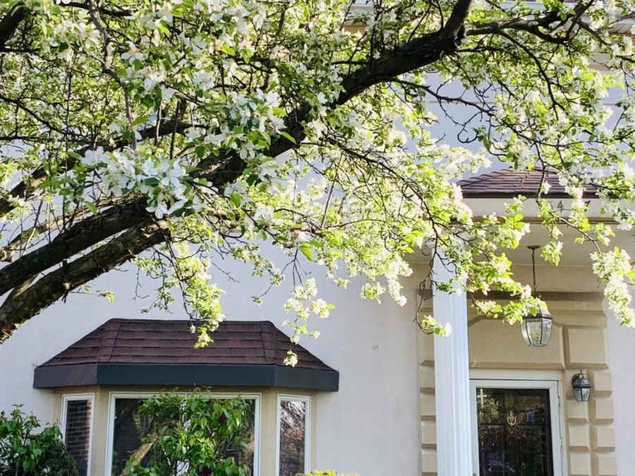 IMG_5056.jpg?type=w966