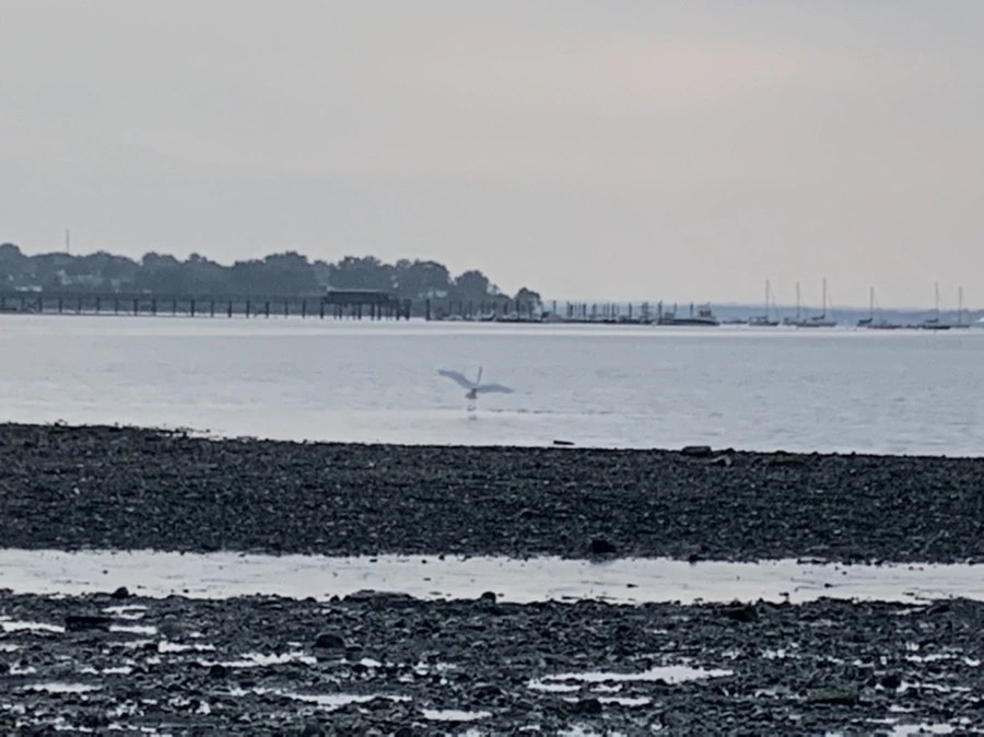 IMG_8181.jpg?type=w966