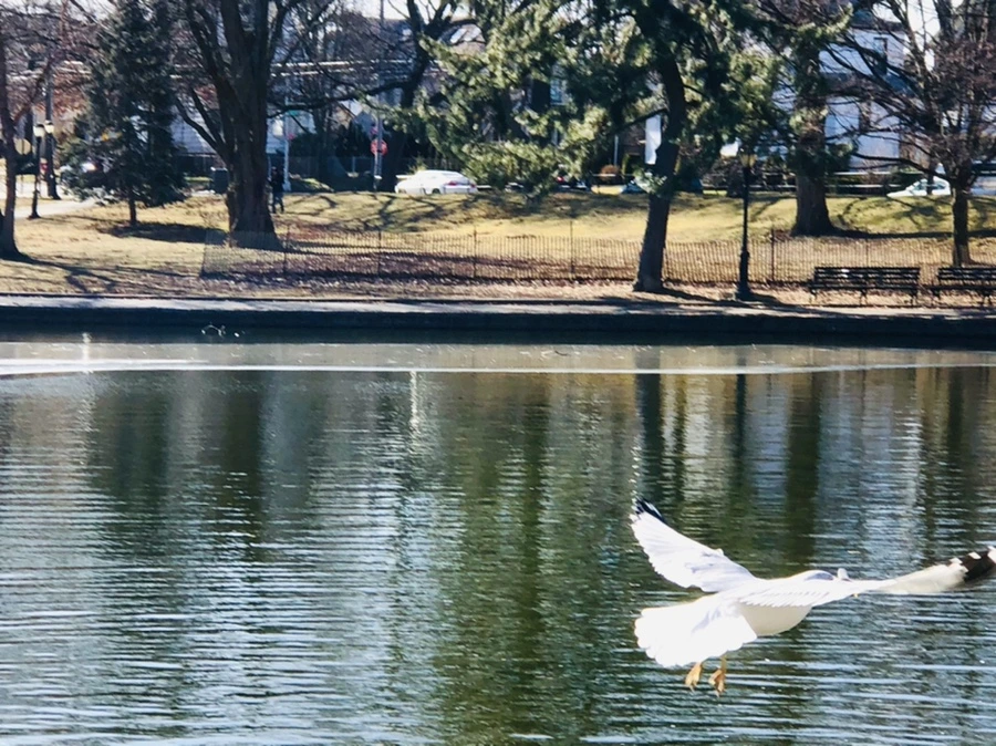 IMG_5336.jpg?type=w966