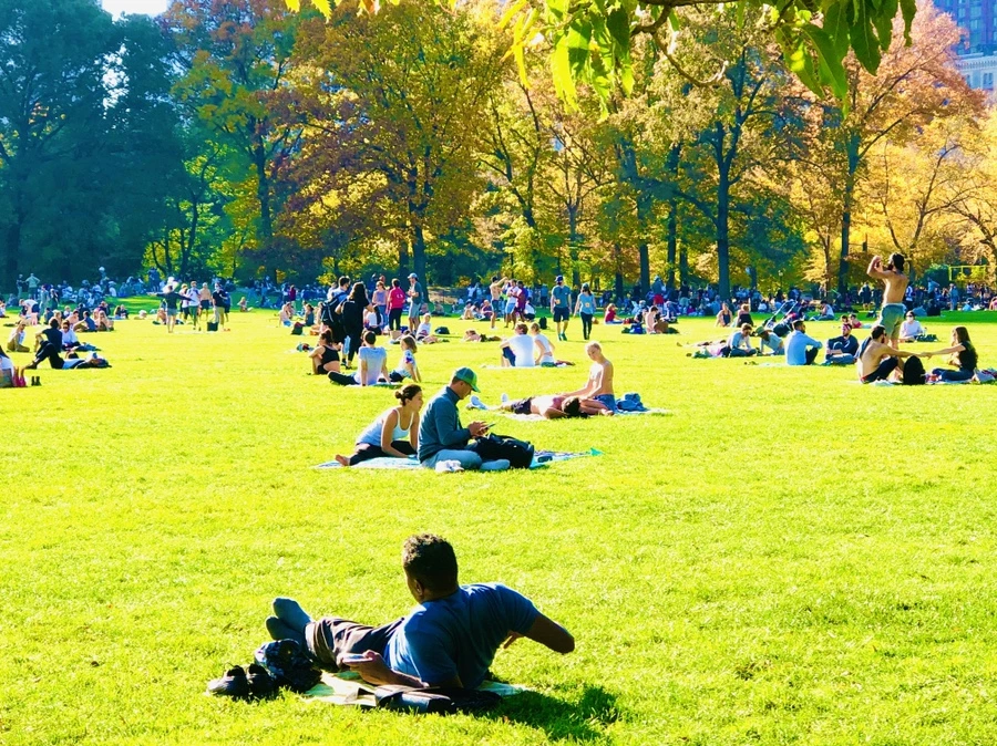 IMG_3942.jpg?type=w966