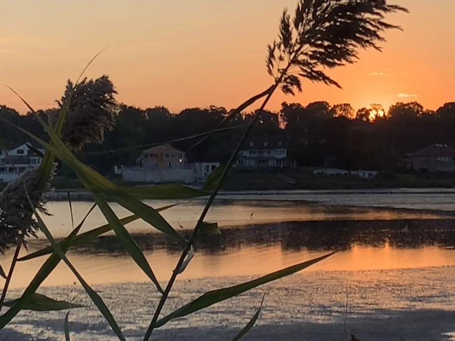 IMG_8868.jpg?type=w966