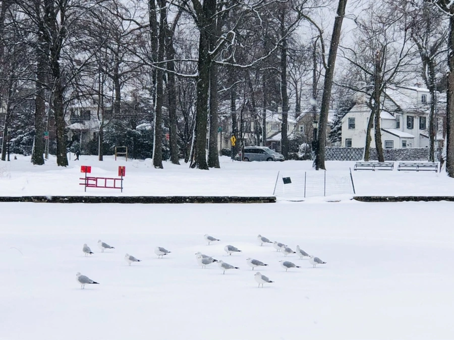 IMG_3664.jpg?type=w966