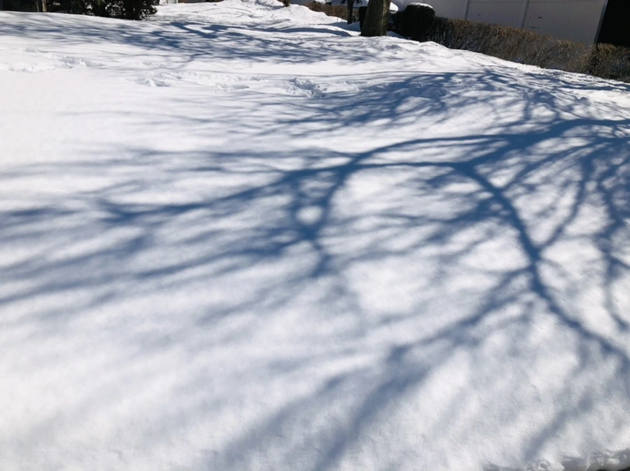 IMG_3918.jpg?type=w966