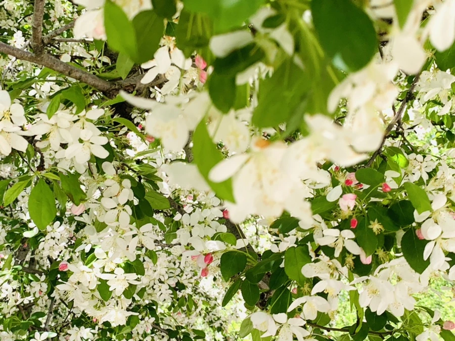 IMG_5753.jpg?type=w966