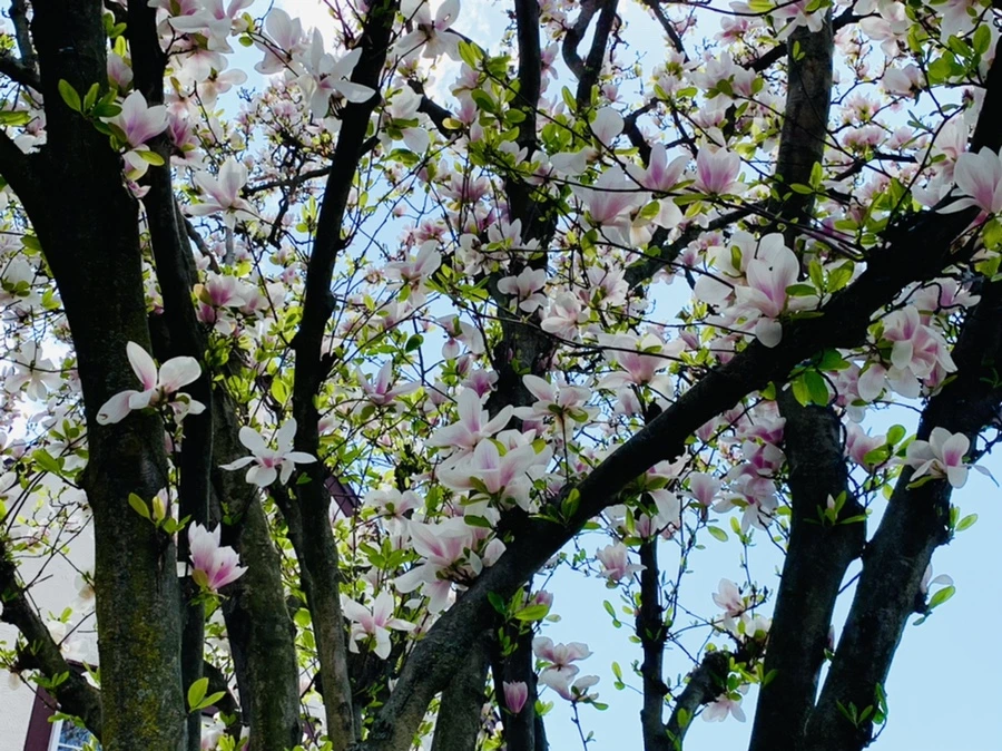 IMG_3914.jpg?type=w966