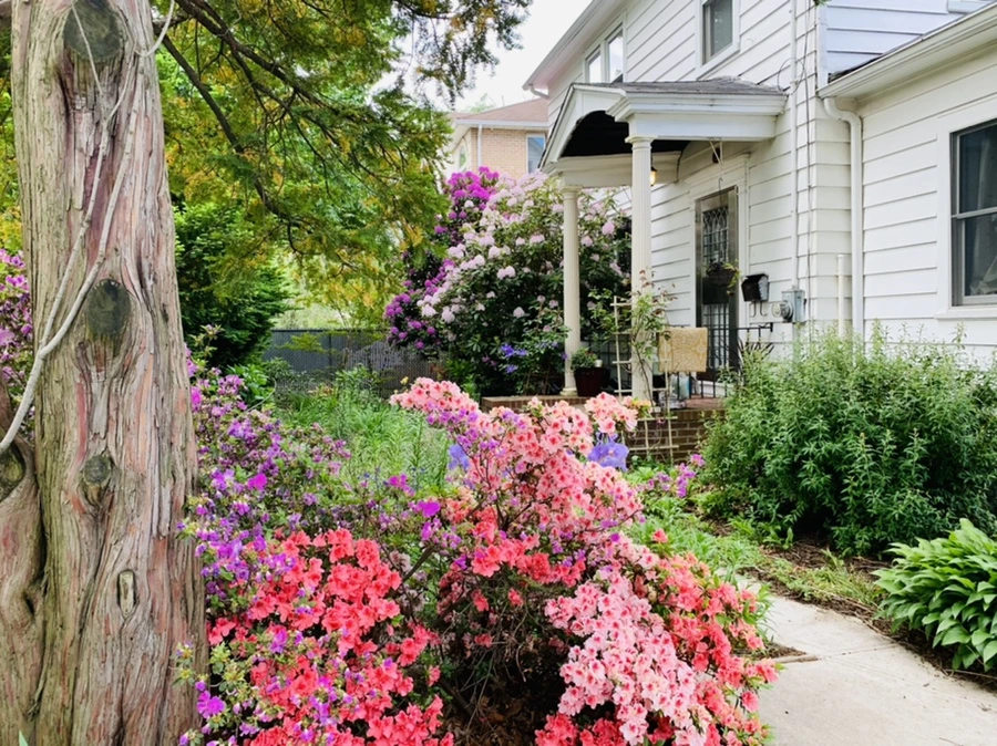 IMG_5476.jpg?type=w966