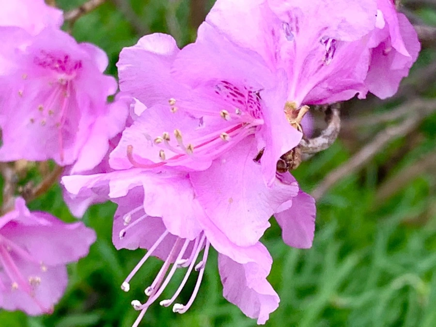 IMG_5975.jpg?type=w966