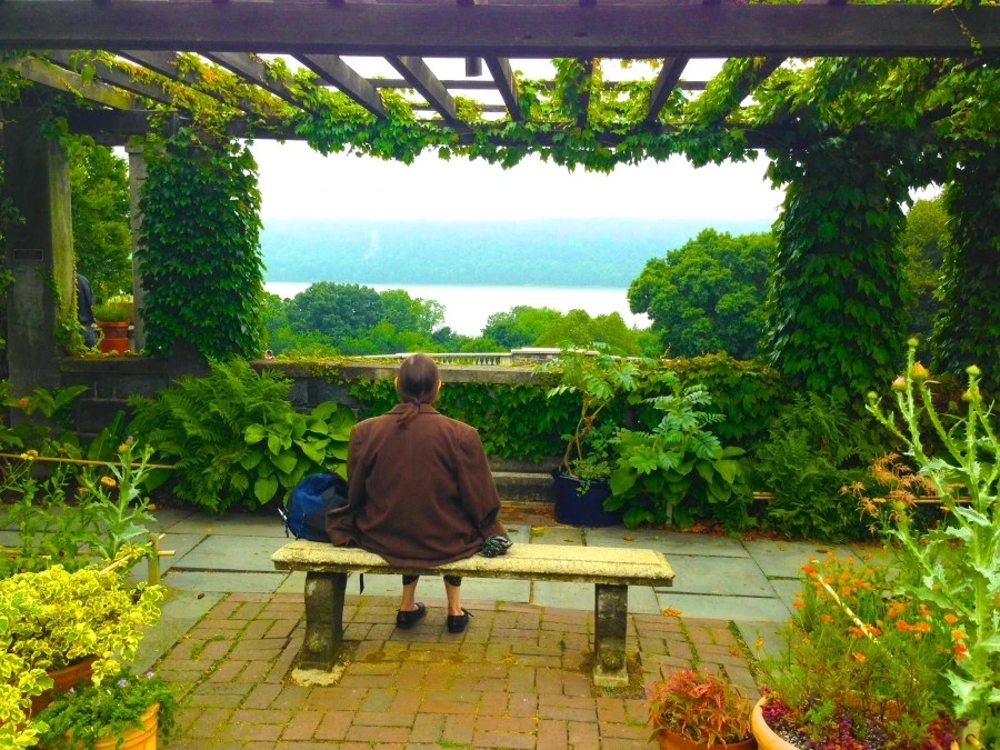 IMG_7495.JPG?type=w1