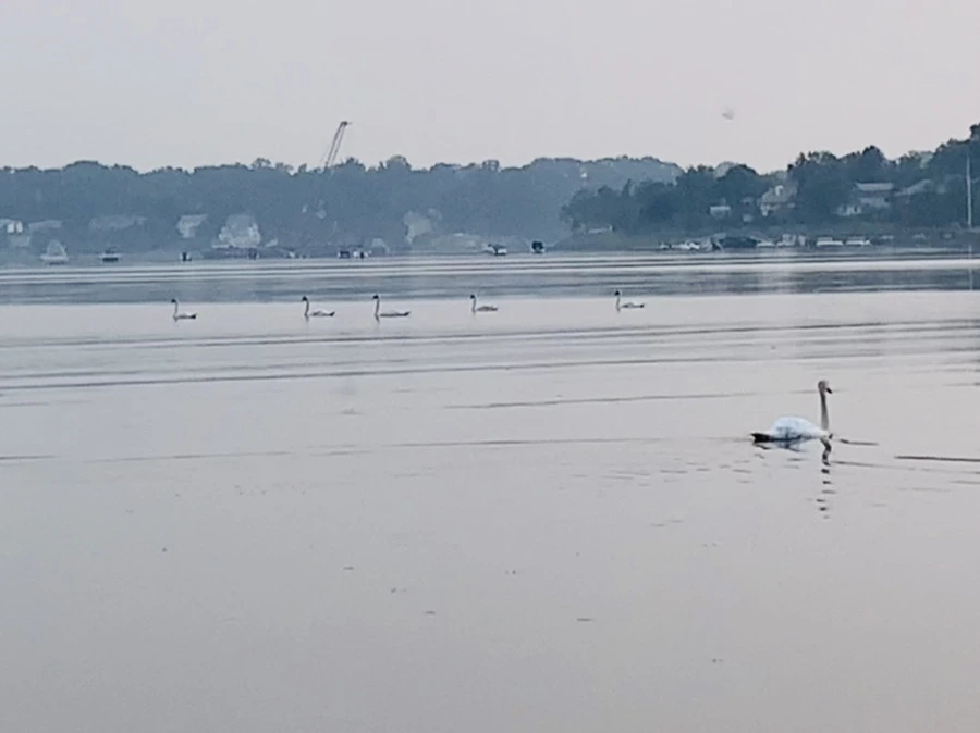 IMG_8412.jpg?type=w966