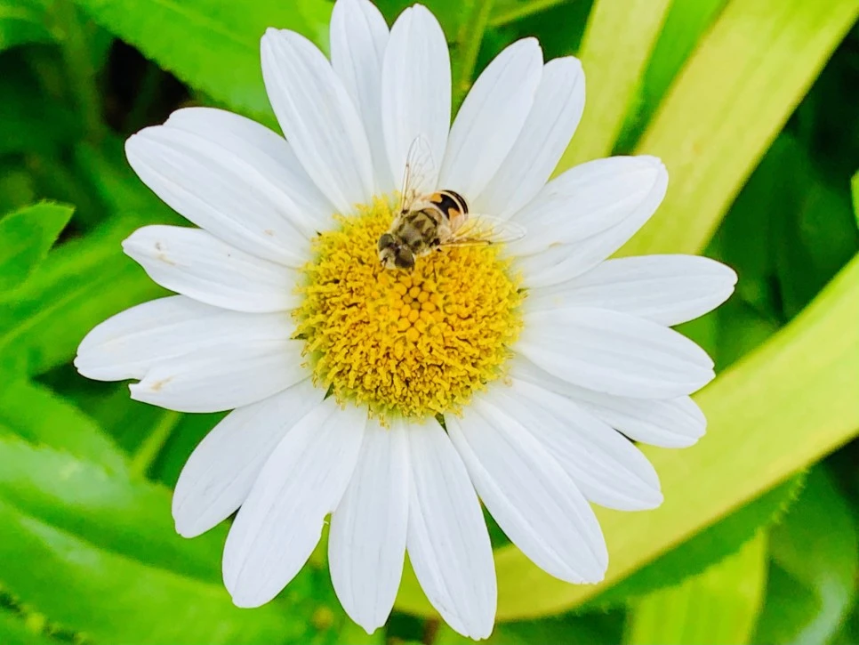 IMG_9359.jpg?type=w966