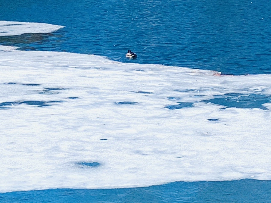 IMG_6609.jpg?type=w966