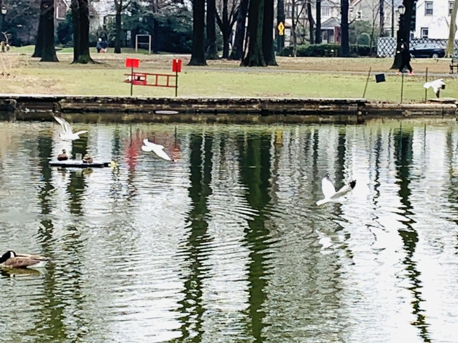 IMG_3856.jpg?type=w966