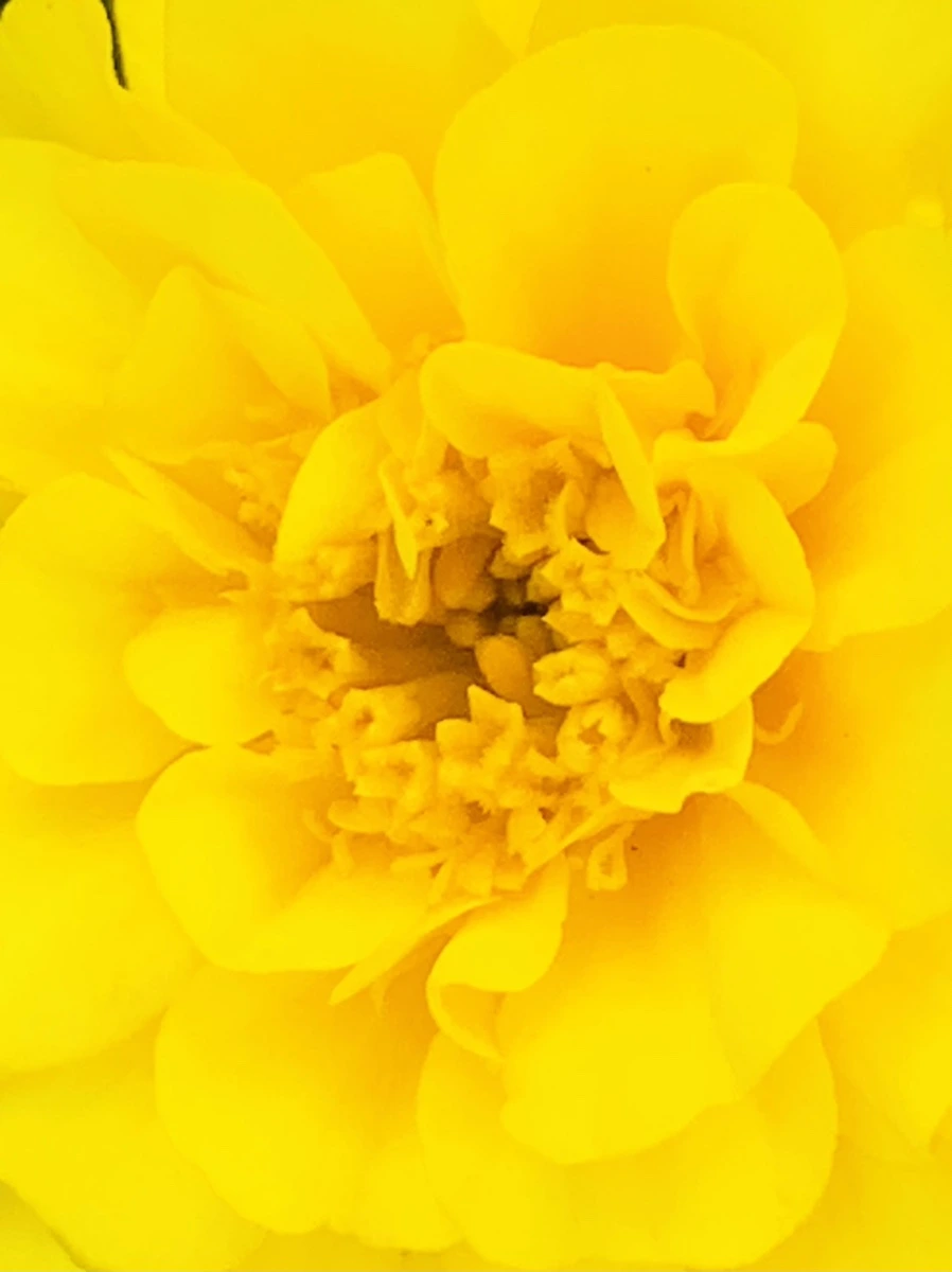 IMG_8357.jpg?type=w966