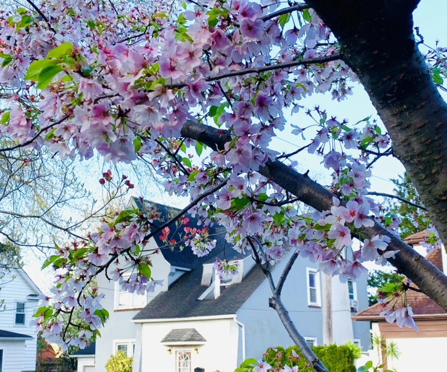 IMG_2624.jpg?type=w966