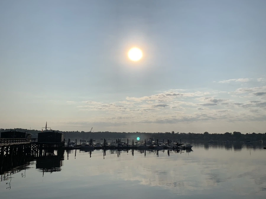 IMG_5847.jpg?type=w966