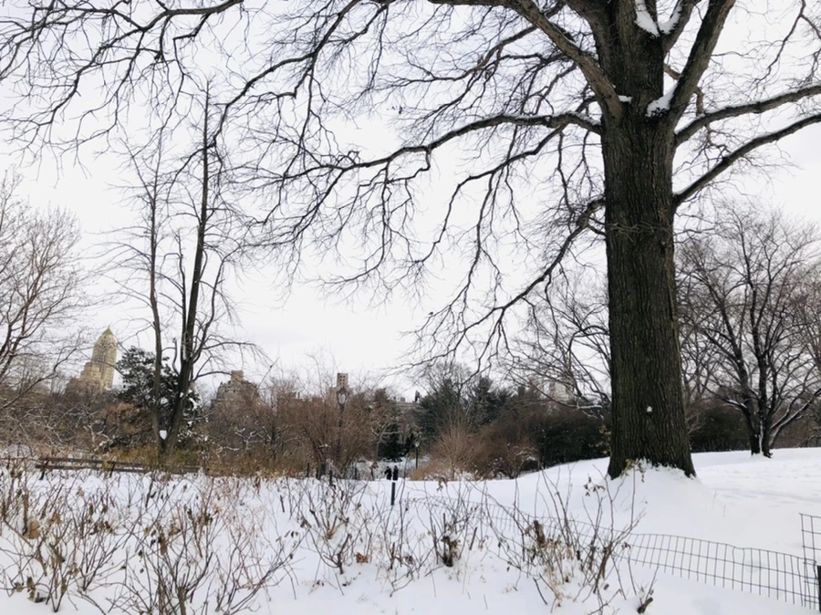 IMG_9470.jpg?type=w966