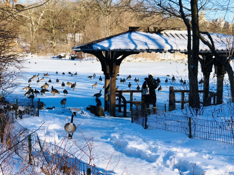 IMG_9938.jpg?type=w966