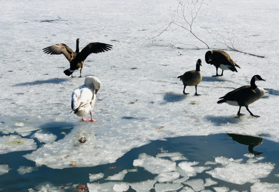 IMG_5441.jpg?type=w966