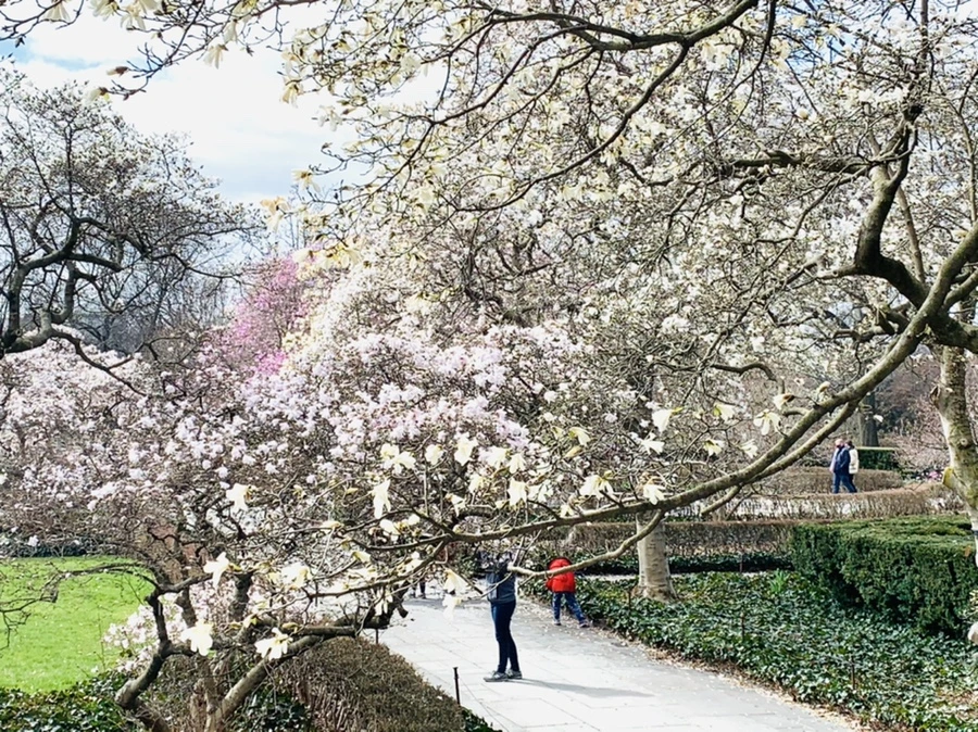 IMG_6474.jpg?type=w966