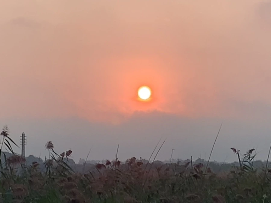 IMG_1148.jpg?type=w966