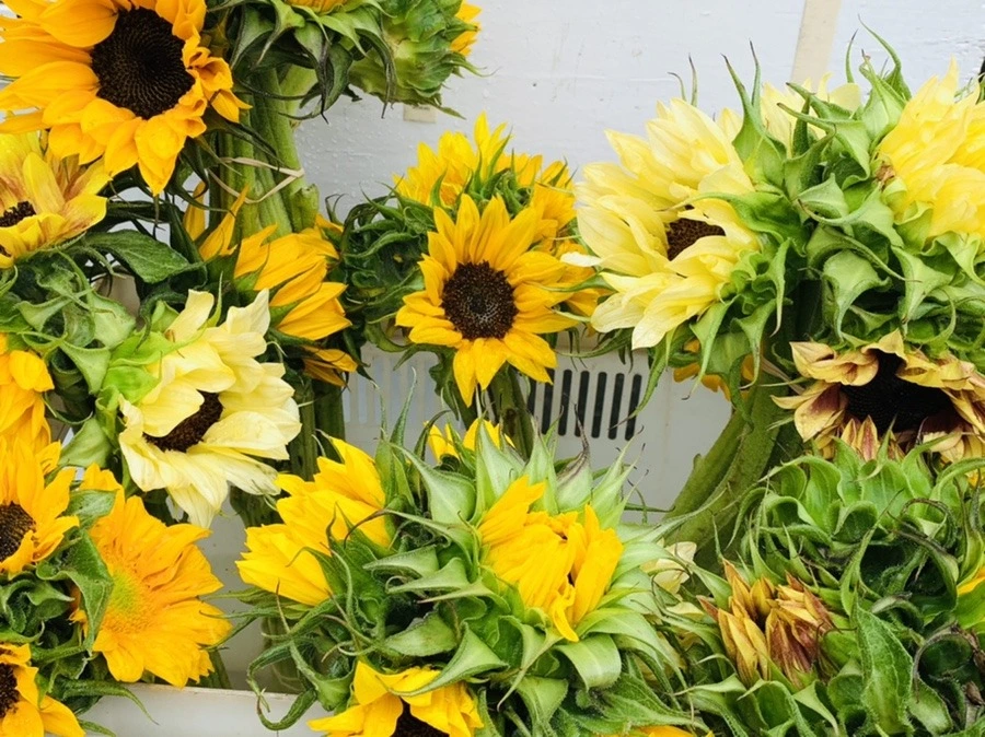 6DHFli2TECwPIZGkkYPXLlgeurM