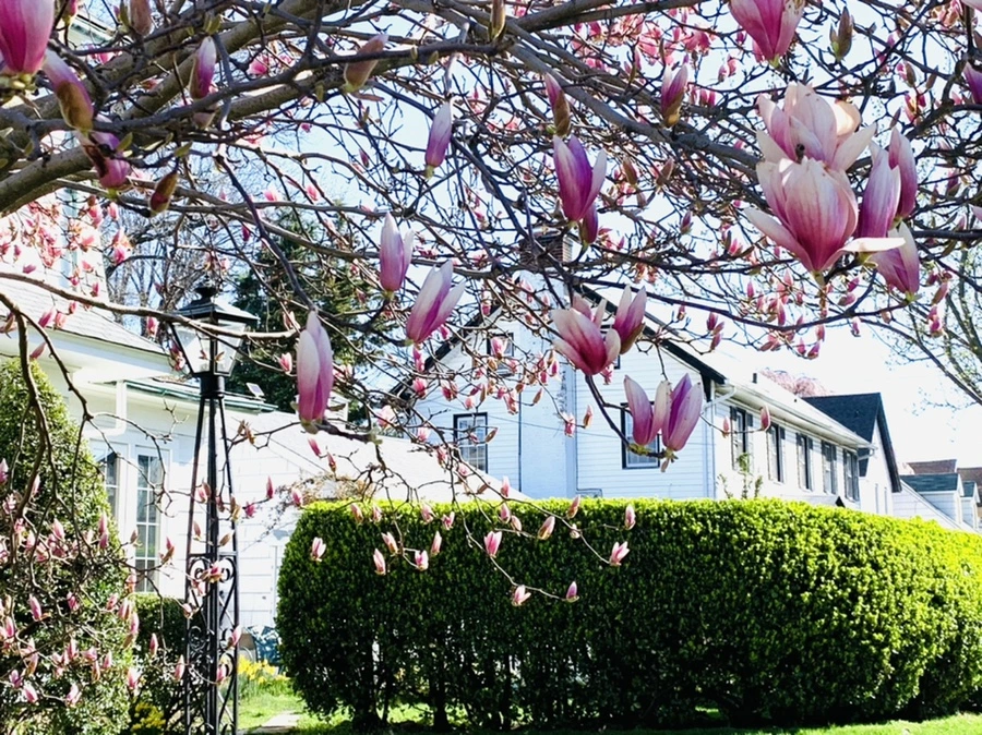 IMG_7519.jpg?type=w966