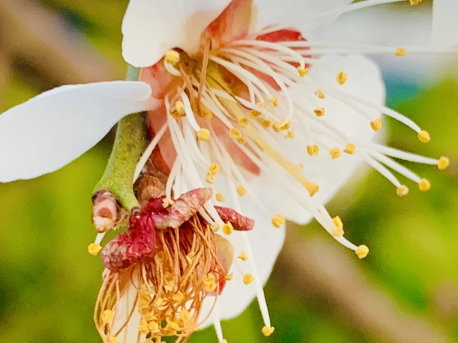 IMG_2847.jpg?type=w966